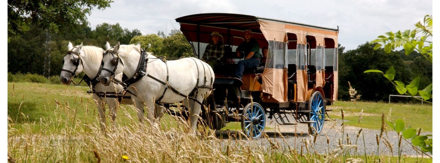 Véhicule hippomobile, Arche de la Nature