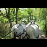 Arche de la Nature © Ville du Mans Alain Szczuczynski