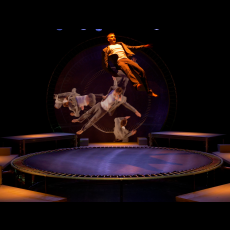 Visuel Spectacle | LOOPS | Cie Kiaï