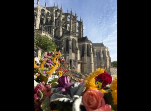 Entre Cours et Jardins