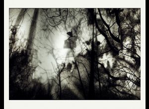 Séance philo au musée de Tessé