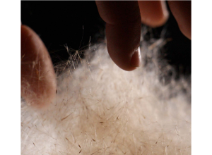 Visite-atelier en famille : à la découverte des matériaux