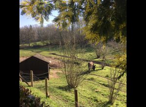 Les Terrasses de Chantarel