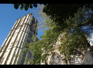 CYCLO - BOUCLE DES 24 HEURES DU MANS