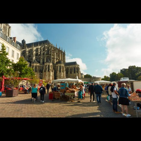 Visuel Marché des Jacobins - Le Mans